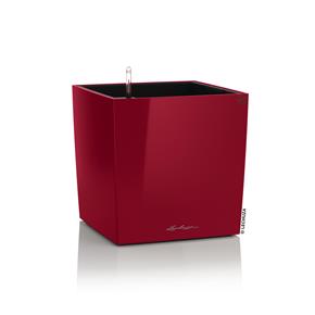 Samozavlažovací květináč Lechuza Cube Premium 50 červená