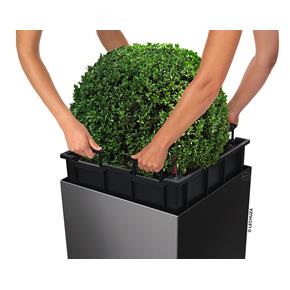 Samozavlažovací květináč Lechuza Cube Premium 40 černá