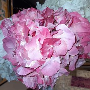 Umělá květina Sia Hortenzie tmavě růžová