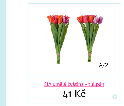 SIA um�l� kv�tina - tulip�n
