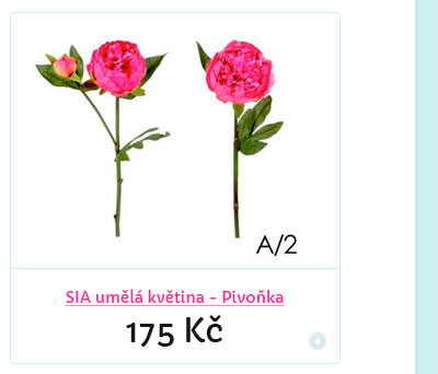 SIA um�l� kv�tina - Pivo�ka 