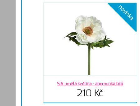 SIA uml kvtina - anemonka bl