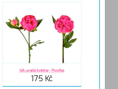 SIA uml kvtina - Pivoka