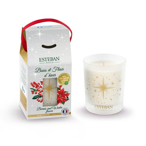 Esteban vánoční svíčka ve skle Berries and Winter Flower 180 g