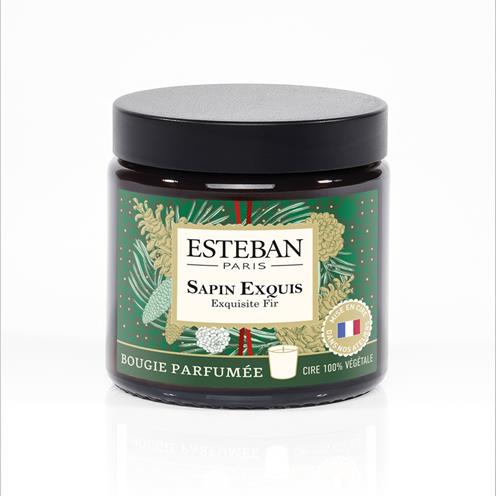 Esteban vánoční svíčka ve skle Sapin Exquis 90g 