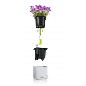 Samozavlažovací květináč Lechuza Cube Color 14 pískově hnědá