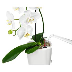 Samozavlažovací květináč Lechuza Mini Deltini bílá