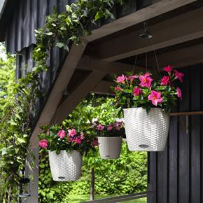 Samozavlažovací závěsný květináč Lechuza Nido cottage 28 světle šedý