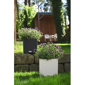 Samozavlažovací květináč Lechuza Cube Cottage 30 bílý