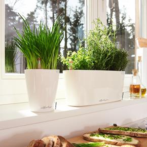 Samozavlažovací květináč Lechuza Delta 20 bílá