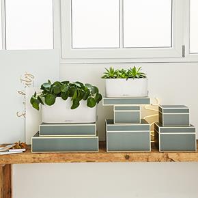 Samozavlažovací květináč Lechuza Delta 20 bílá