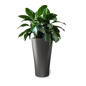 Samozavlažovací květináč Lechuza Delta 30 antracit