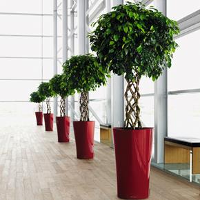 Samozavlažovací květináč Lechuza Delta 30 červená