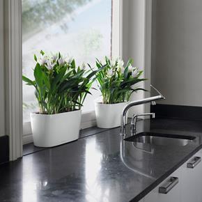 Samozavlažovací květináč Lechuza Delta 20 bílá