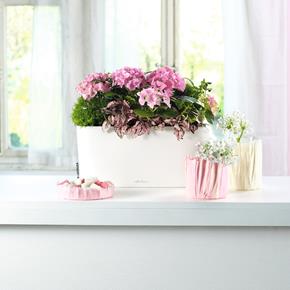 Samozavlažovací květináč Lechuza Delta 20 bílá