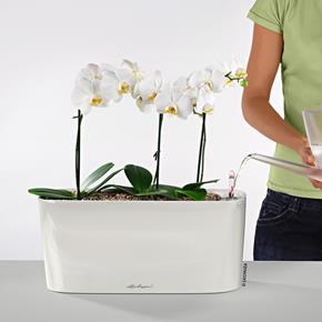 Samozavlažovací květináč Lechuza Delta 20 bílá