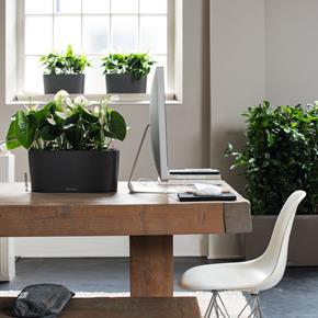 Samozavlažovací květináč Lechuza Delta 20 antracit