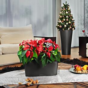 Samozavlažovací květináč Lechuza Delta 20 antracit