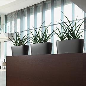 Samozavlažovací květináč Lechuza Delta 20 antracit