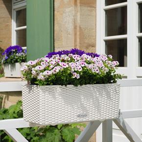 Samozavlažovací truhlík Lechuza Balconera Cottage 50 bílý