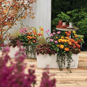 Samozavlažovací truhlík Lechuza Balconera Color 50 bílá