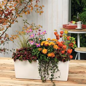 Samozavlažovací truhlík Lechuza Balconera Color 50 kamenná šedá