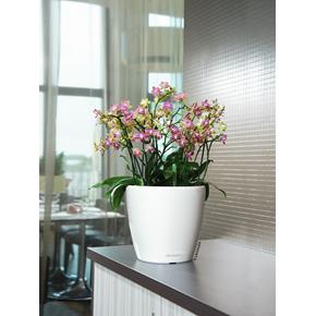 Samozavlažovací květináč Lechuza Classico Premium LS 28 bílá