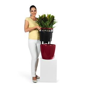 Samozavlažovací květináč Lechuza Classico Premium LS 35 červená