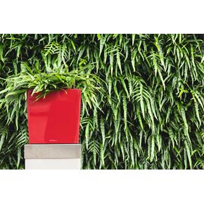 Samozavlažovací květináč Lechuza Cube Premium 30 červená