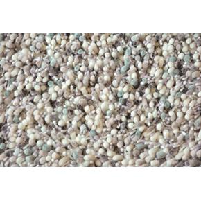 Moderní vlněný kusový koberec B&C Young 061804