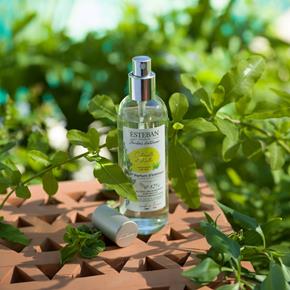 Esteban pokojový sprey Citronelle&Menthe 100ml