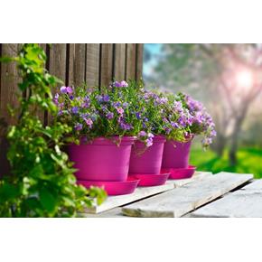 Plastkon kulatý květináč Gardenico Campanula fialový fuchsiový