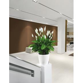 Samozavlažovací květináč Lechuza Classico Premium LS 50 bílá