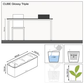 Truhlík Lechuza Cube Glossy Triple antracit