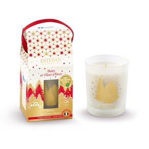 Esteban vánoční svíčka ve skle Berries and Winter flower 170g