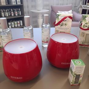 Esteban pokojový sprey Citronelle&Menthe 100ml