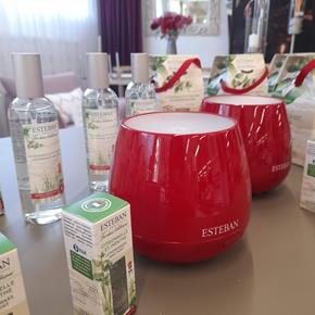 Esteban pokojový sprey Citronelle&Menthe 100ml