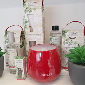 Esteban aroma difuzér Citronelle&Menthe 100ml