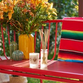 Esteban svíčka ve skle Agave water & coconut 180g