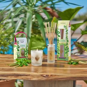 Esteban aroma difuzér Lemongrass & Mint 100ml