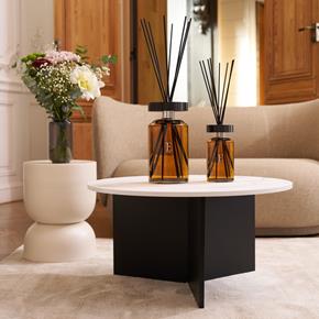 Esteban aroma tyčinkový difuzér Teck & Tonka  950ml