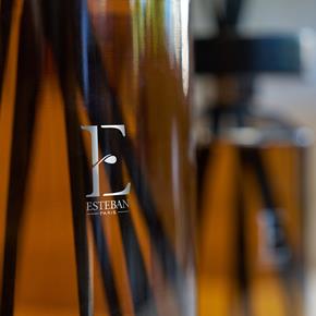 Esteban aroma tyčinkový difuzér Teck & Tonka  950ml