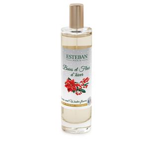 Esteban vánoční bytový sprey Berries and Winter Flower 75ml