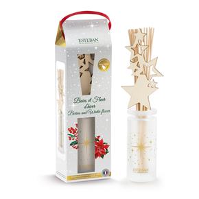 Esteban vánoční difuzér Berries and Winter Flower 100ml