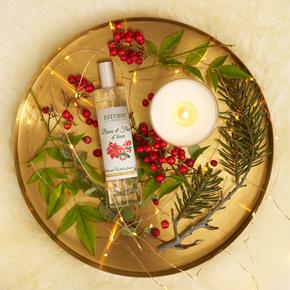 Esteban vánoční bytový sprey Berries and Winter Flower 75ml