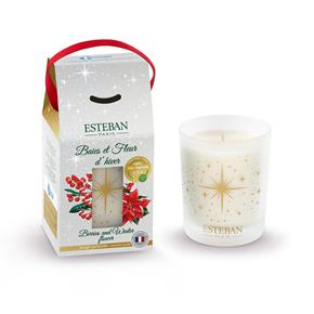 Esteban vánoční svíčka ve skle Berries and Winter Flower 180 g