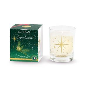 Esteban vánoční svíčka ve skle Sapin Exquis 70g 