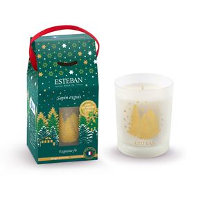 Esteban vánoční svíčka ve skle Sapin Exquis 180g 