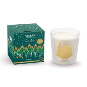 Esteban vánoční svíčka ve skle Sapin Exquis 450g