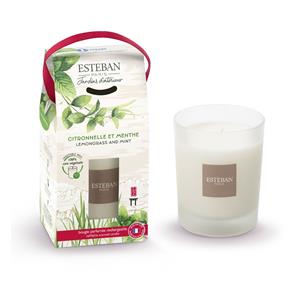 Přírodní vonná svíčka Esteban ve skle Citronelle&Menthe 180g